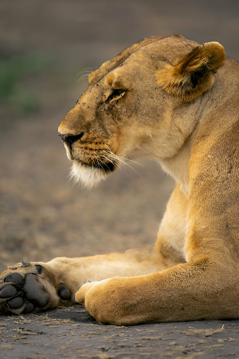 [downloader.la] 6645d74b6fbd0