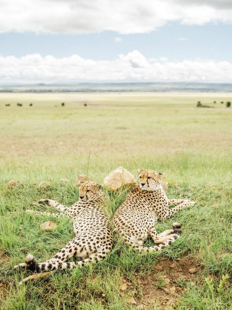 snapinsta.to 532826129 18518873143051923 1805593730332666018 n