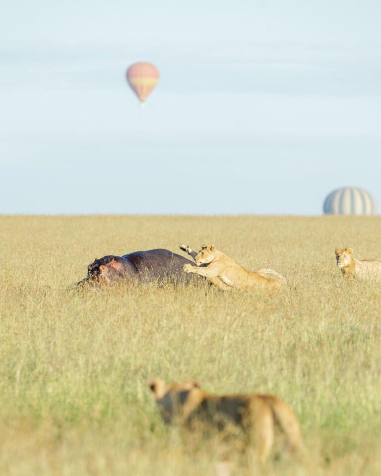 snapinsta.app 419025132 1083022256456848 7505814299647333399 n 1080