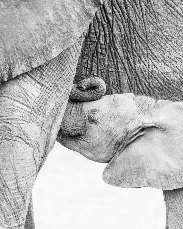 snapinsta.app 425544910 3564138830515104 2371881597838510740 n 1080